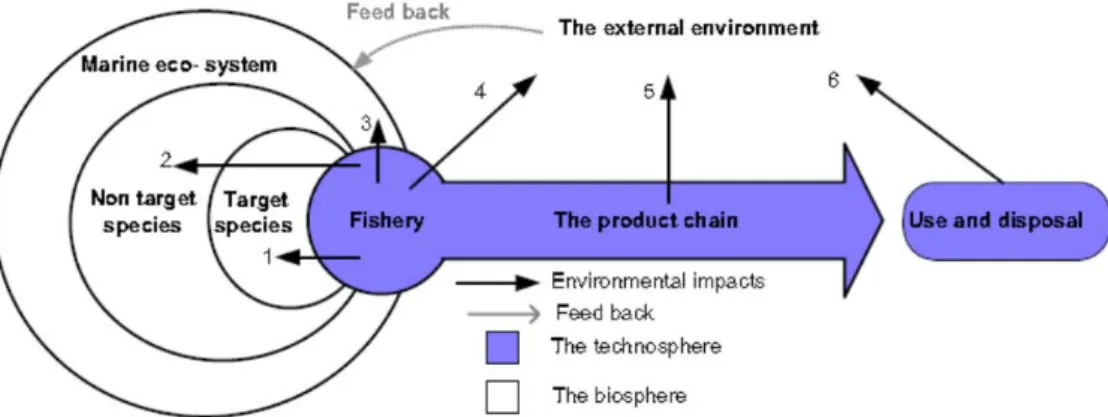 Fig. 4   Environmental impacts at different life cycle stages of seafood products [21] 