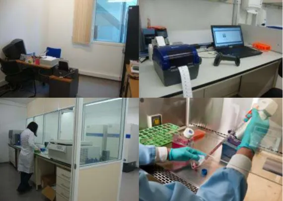 Figure 6 - Biobanco-IMM facilities. (Source: Biobanco-IMM)
