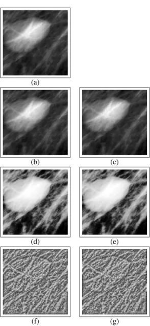 Figure 1. Examples of the same crop image (benign lesion) with the different normalization methods: (a) NoNORM and (b-g) Methods 1 to 6.