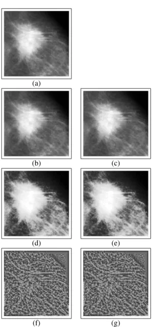 Figure 2. Examples of the same crop image (malign lesion) with the different normalization methods: (a) NoNORM and (b-g) Methods 1 to 6.