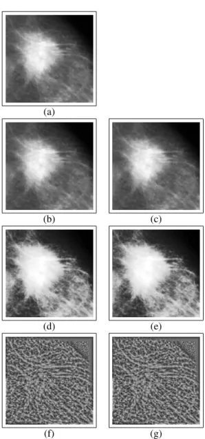 Figure 2. Examples of the same crop image (malign lesion) with the different normalization methods: (a) NoNORM and (b-g) Methods 1 to 6.