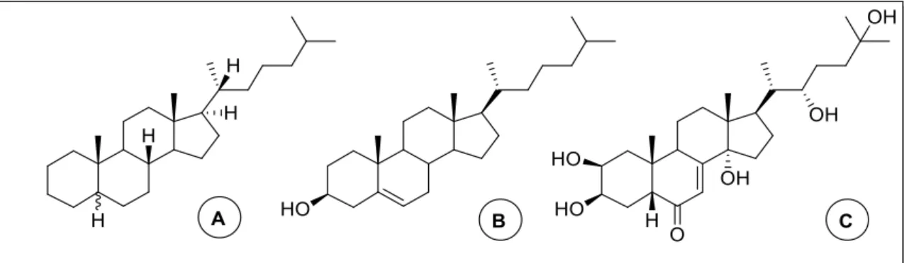 Figure 8 | Structures of cholestane (A), cholesterol (B) and ecdysone, an ecdysteroid (C) 1 .