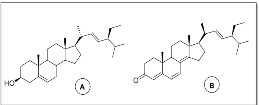 Figure  15  |  Structures  of  stigmasterol  (A)   and  a  derivative  with  antiviral  properties  (B) 57 .