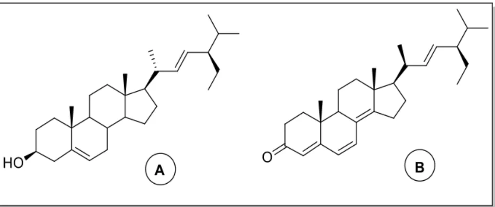 Figure 16 | Structures of stigmasterol (A)  and a derivative with antiviral properties  (B) 57 .