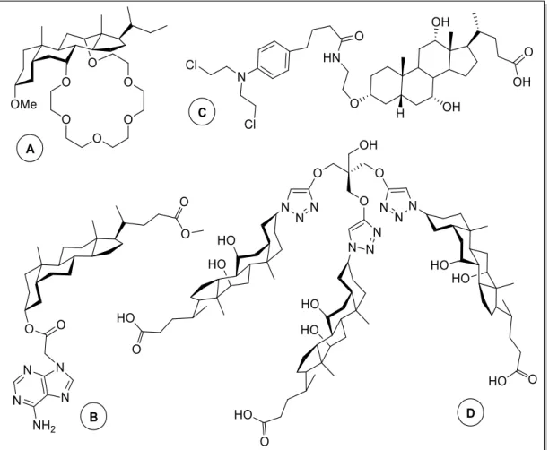 Figure  17  |  Structures  of  a  synthetic  ionophore  containing  a  steroidal  moiety  (A),    a  bile  acid  conjugated with a purine (B) and the drug chlorambucil (C), and a molecular pocket composed by three  steroidal moieties 35 .