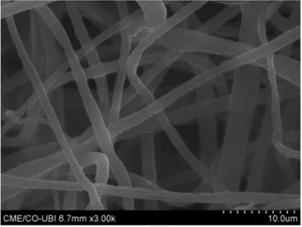 Figure 1 shows the representative images of these nanofibers.