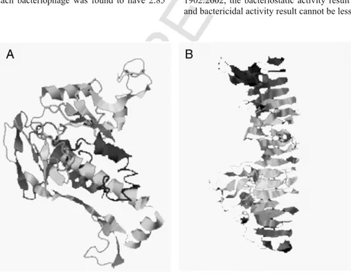 Figure 2. Major capsid protein (A) and Major tube protein (B) modeled structures generated by SPICKER program 16–19 based on pair-wise similarity