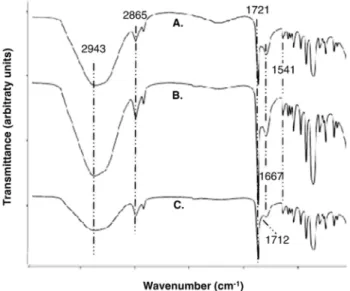 Figure 3. IR spectra of unmodified PCL (A) and PCL-vB_Pae_Kakheti25 after (B) 5 washing-cycles and (C) 25 washing-cycles.