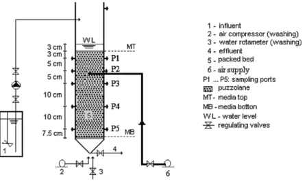 Fig. 1. Schematic representation of the experimental BAF.