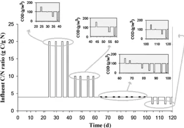 Fig. 2. Schematic representation of the operating conditions during Phase II.