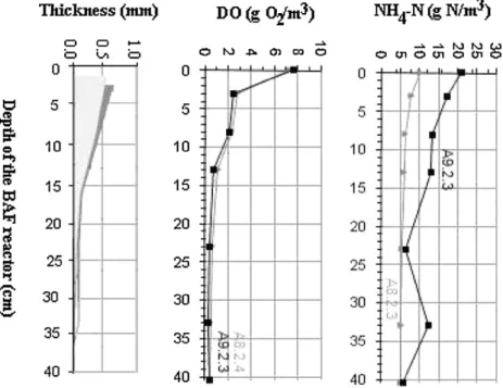 Fig. 5. Vertical proﬁles of DO and NH 4 –N concentrations and bioﬁlm thickness for assays A8.2.3