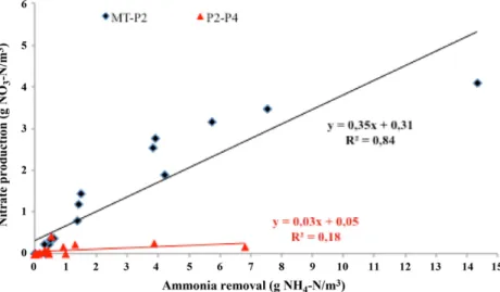 Fig. 7. Correlation between ammonia removal and nitrate production observed in section MT-P2 (black line) and section P2-P4 (red line)