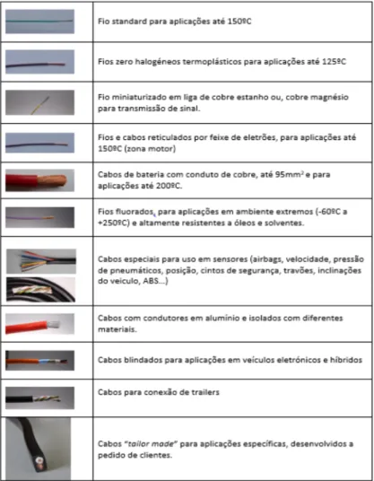Figura 6 – Tipos de produtos 
