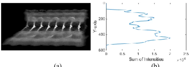 Fig. 2.  The  shadow  separation  method  in  [18]:  Example  of  a  GTI  (a)  and  sum of its intensity values along the first principal component (b)