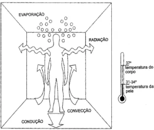 Figura 4-1 - Mecanismos de perdas de calor do corpo humano, adaptado de [40] 