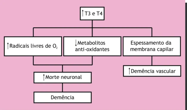 Figura 10 – Esquema representativo da importância do aumento da T 3  e da T 4  na etiologia das  demências de Alzheimer e vascular