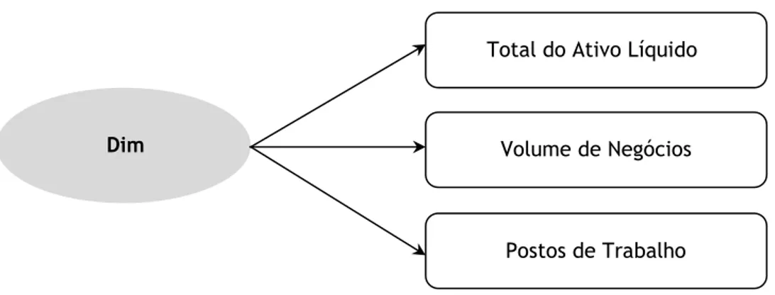 Figura 6: Construto da Dimensão das empresas 