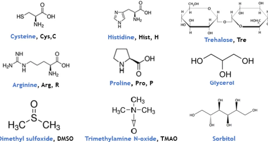 Figure  9. Chemical structure of several molecules used as chaperones. 