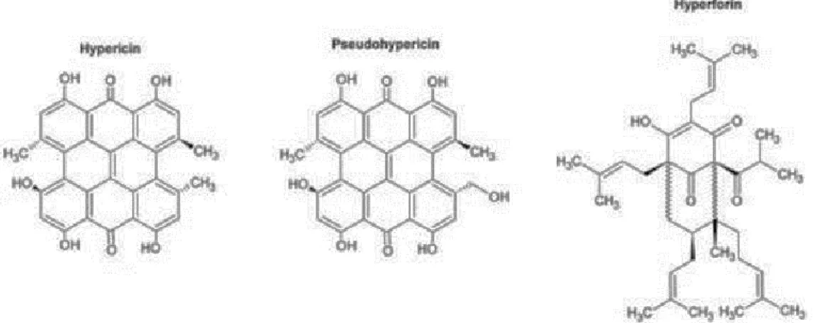 Figure 5. Chemical structures of hypericin, pseudohypericin, and hyperforin (adapted from [62])