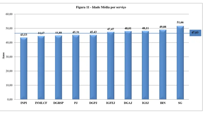 Figura 11 - Idade Média por serviço
