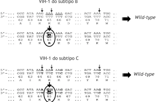 Figura 1.3- Imagem adaptada que permite visualizar o local da mutação K65R, destacada com  um círculo, no VIH-1 do subtipo B e C (50)