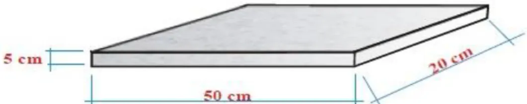 Figura 2 – Esquema e disposição do equipamento para o teste de Salto Monopedal 