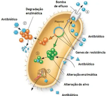 Figura 1: Representação esquemática dos principais mecanismos de resistência aos antibióticos