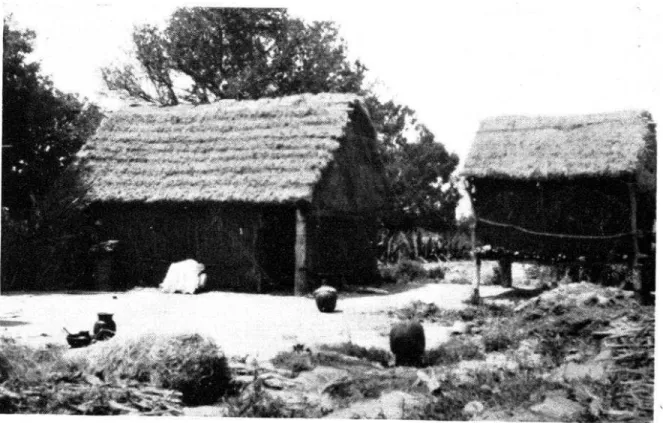 FIGURA  l.-Tipo  de  habitación  en  Totomihuacan. 