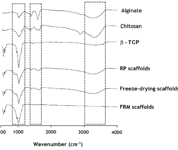 Figure  10:  FTIR  analysis  of  the  3D  scaffolds  produced  by  the  three  different  technics  and  comparing  with the powders