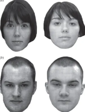 Figura 2- Exemplo das faces apresentadas no Glasgow Face Matching Test. 