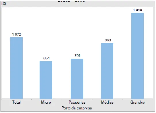 Figura  4  –  Distribuição  percentual  do  número  empresas,  do  pessoal  ocupado  total,  do  pessoal assalariado e dos salários  e  outras remunerações, segundo porte da empresa  -  Brasil  - 2006 