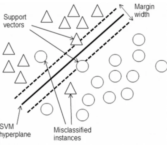 Figure 4: Illustration of a linear SVM decision function separating class+1 (circles) from the  class-1 (triangles) 