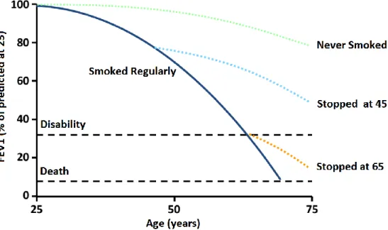 Figure 1.2.1 - The decline in lung function with age, smoking, and smoking cessation. FEV1  –  Forced Expiratory Volume in first second