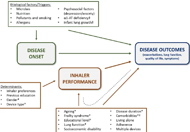 Figure 1.4.1 – Conceptual graph of causal pathways between disease onset, inhaler technique  performance  and  disease  outcomes  in  Asthma  and  COPD