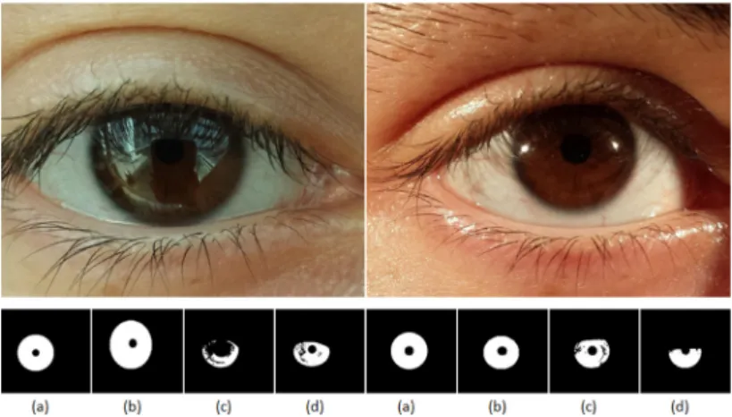 Fig. 3. Example  of  high  resolution samples of the same  subject,  with  good  contrast  and  illumination  in  outdoor and indoor  conditions,  top  left  and  top  right respectively