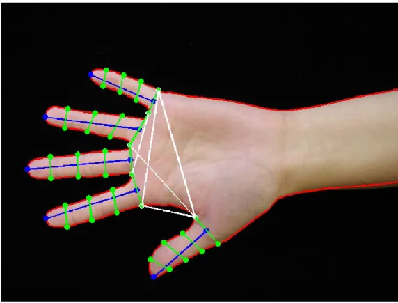 Figure 4 – Hand geometry features. 