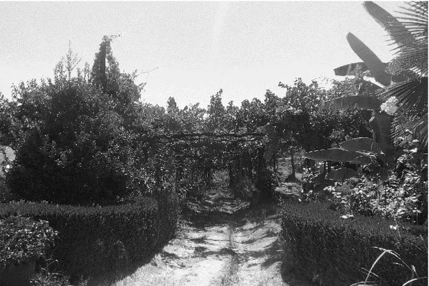 Figura 10. Imagem do quinteiro da casa da Vessada.  Figura 11. Terrenos pertencentes à casa da Vessada