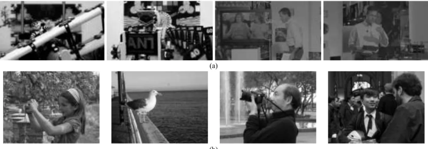 Fig.  11  Example  of  the  central  rendered  view  from  each  holoscopic  test  content