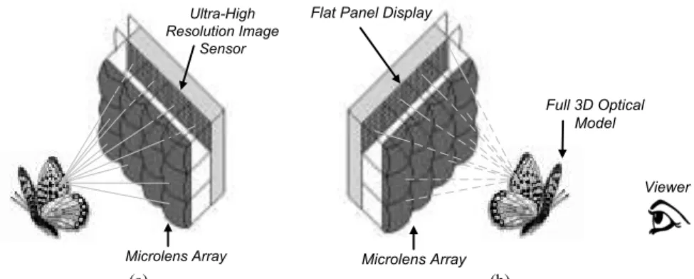 Fig. 1 A holoscopic imaging system: (a) acquisition side; (b) display side Microlens Array