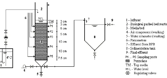 Figure 2 - Schematic illustration of the experimental set-up including the submerged BPB  reactor) 