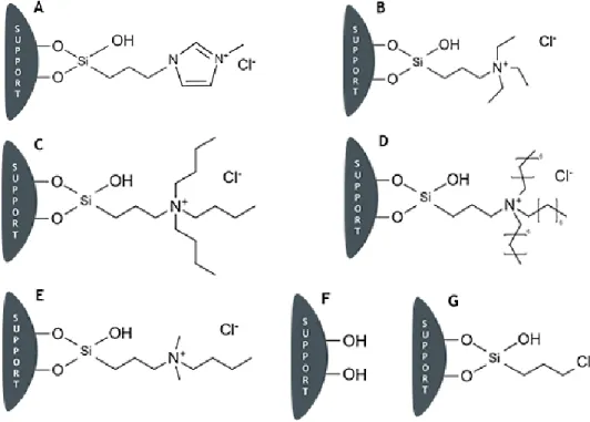 Figure 8: Representation of the chemical structures of functionalized silica with the different ILs