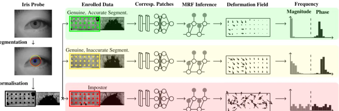Figure 1. Overview of IRINA’s processing chain. The first and second order statistics of the free-form deformation vector fields are the basis for biometric recognition