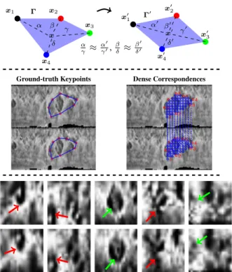 Figure 3. Structure of the convolutional neural network (CNN) used to discriminate between the corresponding and  non-corresponding iris pairwise patches.