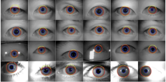 Figure 5. Datasets used in IRINA’s empirical validation. From top to bottom rows, images of the IrisV3-Lamp,  CASIA-IrisV4-Lamp, CASIA-IrisV4-Thousand and WVU sets are shown.