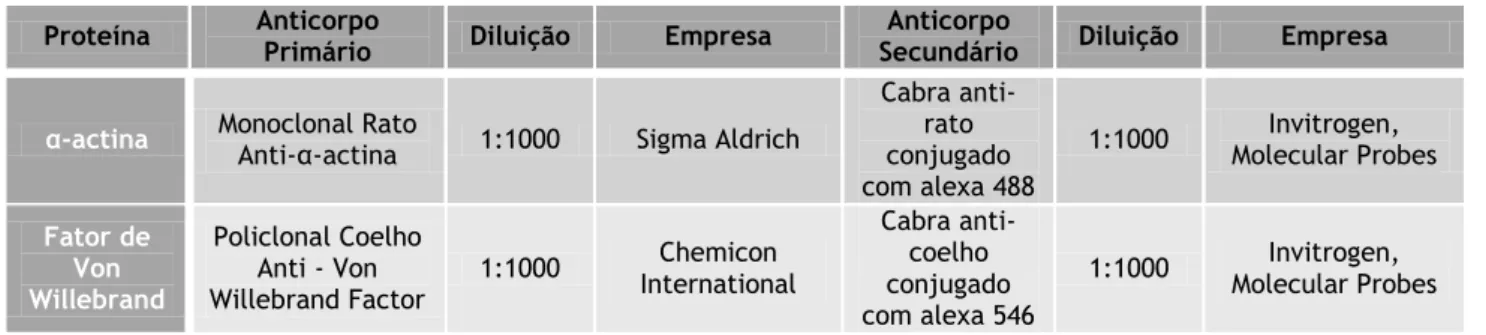 Tabela 2. Anticorpos primários e secundários utilizados nos ensaios de Imunocitoquímica