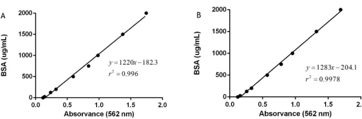 Figure 6: A - BSA (lysis buffer) calibration curve; B - BSA (elution buffer) calibration curve.