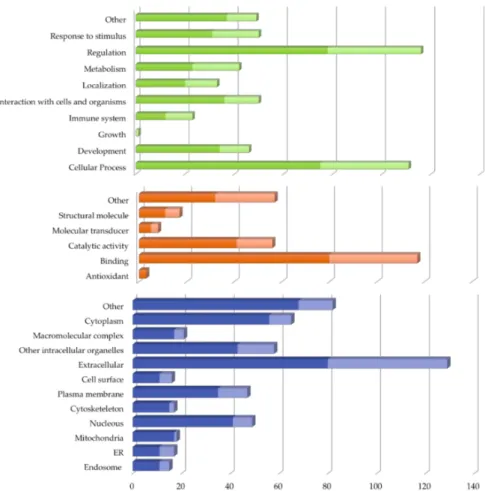 Figure 1. Classification of the 150 proteins found differentially expressed in vitreous of patients with rhegmatogenous retinal detachment in comparison with macular epiretinal membranes samples according to Gene Ontology (GO) terms using STRAP 1.5