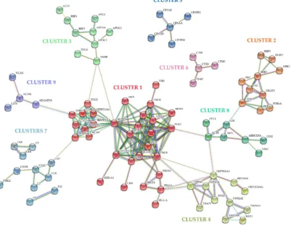 Figure 2. Protein-protein interaction network of the proteins found differentially expressed in RRD, based on interaction evidence, predicted using STRING 10