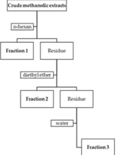Figure 3. Schematic diagram showing the sequential liquid-liquid partition of the crude methanolic  extracts