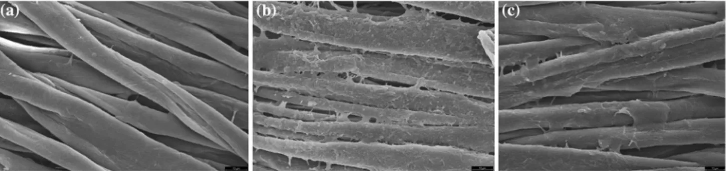 Fig. 1 SEM images. (a) Cotton sample, (b) CT6 and (c) CT6 after washed